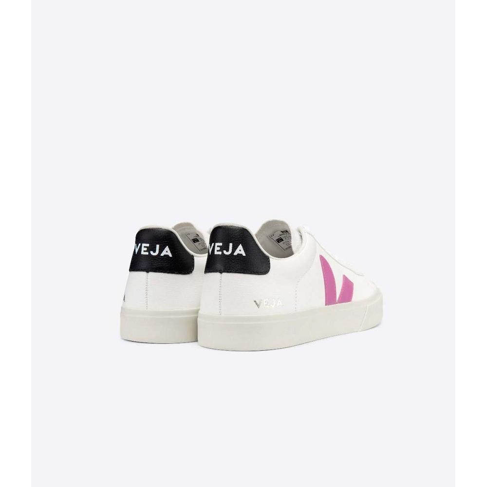 Women's Veja CAMPO CHROMEFREE Low Tops Sneakers White/Purple | SG 597FDN